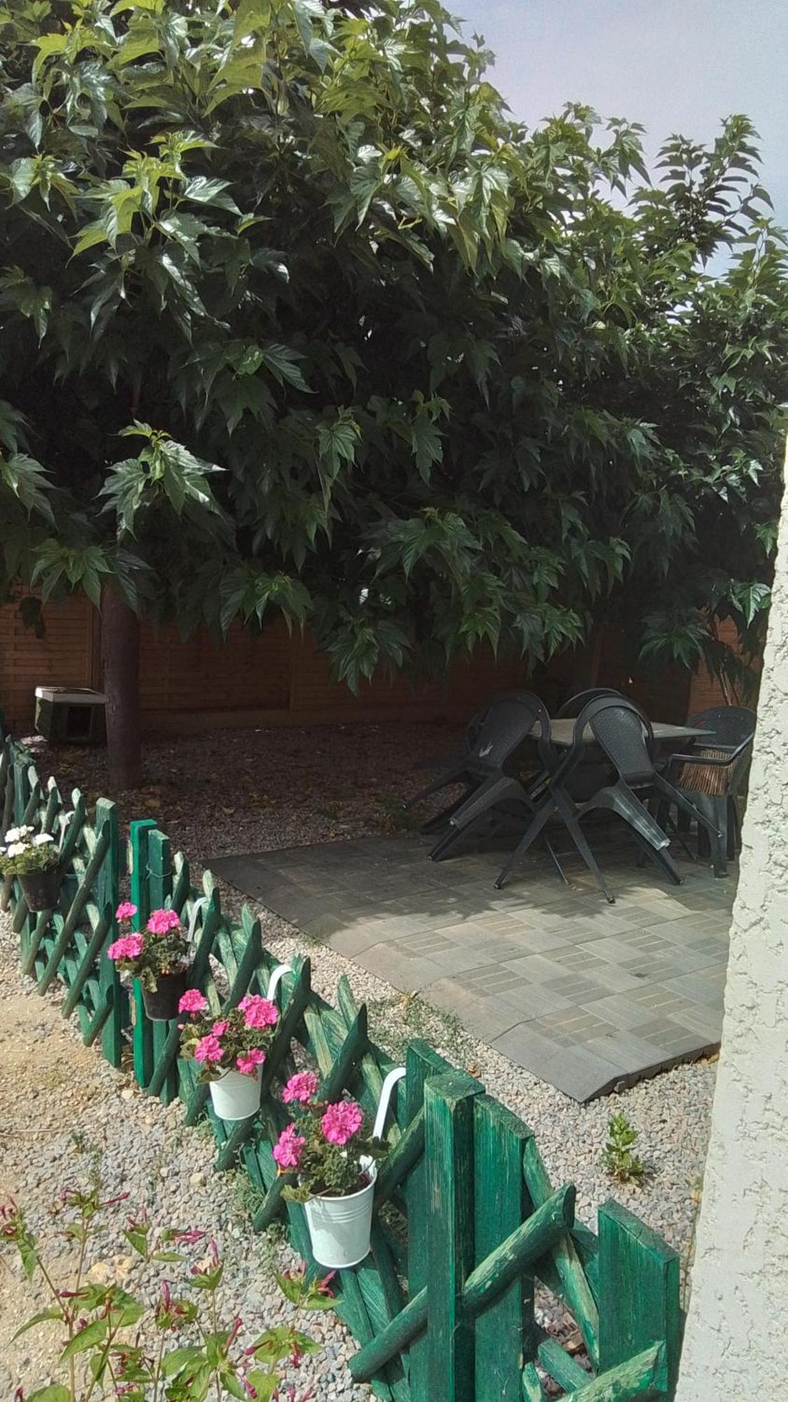 Ferienwohnung La Tortue Passa Exterior foto